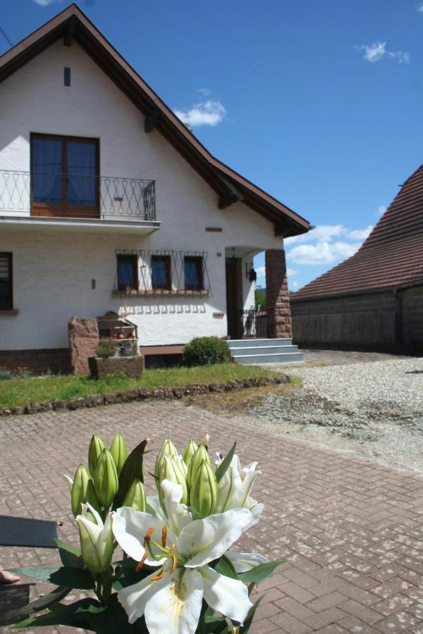 La Maison De Tania Neuve-Eglise Exteriör bild